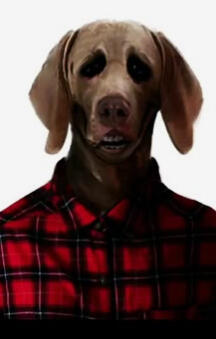 five nights at freddy's